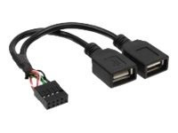 InLine® USB 2.0 Adapterkabel, 2x Buchse A auf