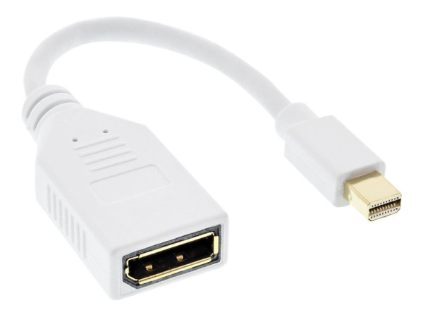 InLine Kabel Mini DisplayPort Stecker zu DisplayPort Buchse