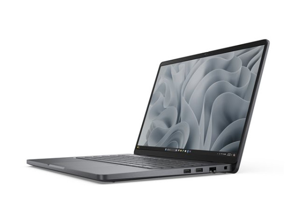 Dell Pro 14 DWF09 (schwarz, AMD Ryzen 5 PRO 215, AMD Radeon