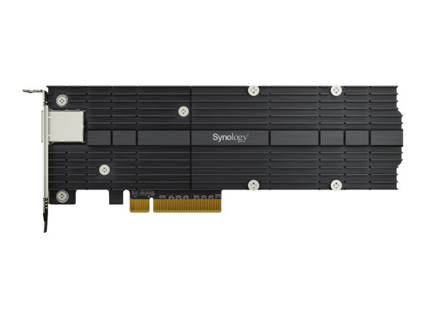 Synology SYN E10M20-T1 PCIe CARDS RJ45