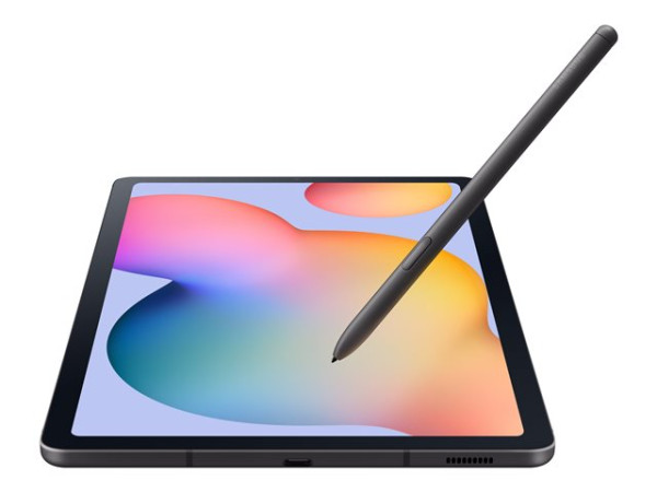 Samsung Galaxy Tab S6 Lite (2024) (grau, Oxford Gray, 128