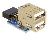 IT Produkte DeLOCK MBz USB Pinheader Bu > 2x USB2.0-A Bu V