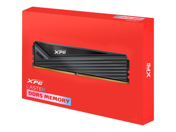 ADATA DIMM 16 GB DDR5-6000 (1x 16 GB) (grau,