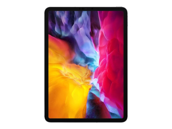 Apple APPLE iPad Pro 11 WiFi+Ce 2.Gen 1TB gy | MXE82FD/A