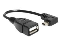 IT Produkte DeLOCK Kabel USB mini Stecker > USB 2.0-A Buchse