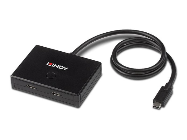 Lindy Lin 2P USB 3.2 Gen 1 Typ C Switch bidire 43329