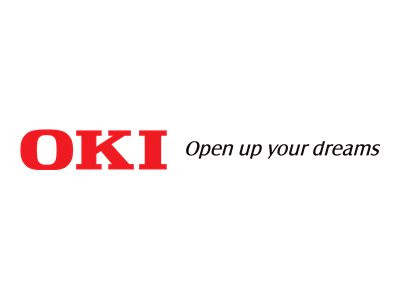Oki Toner BK 10000 Seiten 46861308 Toner Schwarz