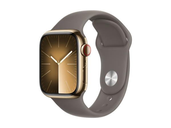 Apple Watch Series 9 (gold/braun, Edelstahl, 41 mm,