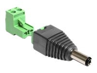 Adapter Delock Terminalblock 2pin -> DC 2,1 x 5,5mm St 2-tei