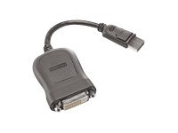 Lenovo DisplayPort 45J7915 20 cm DisplayPort - DVI-D für