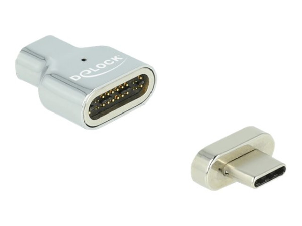 DeLOCK Adap. Thunderb. magnet. 8K 30Hz
