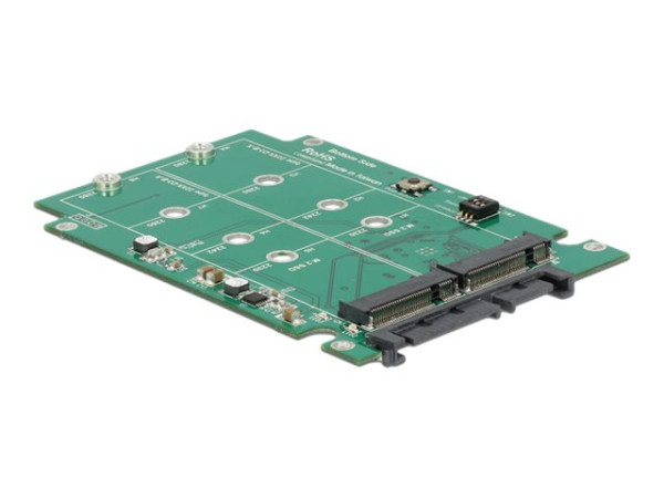 IT Produkte DeLOCK Konverter SATA 22 Pin > 2x M.2 NGFF 2.5