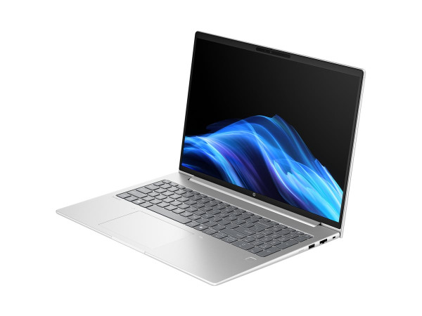 HP ProBook 4 G1a (AD2N1ET) (silber, AMD Ryzen 7 250, AMD