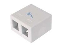 Digitus Digitus Konsolidierungs-Punkt Gehäuse für 2x