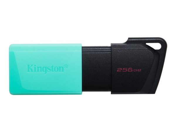 Kingston USB 256GB DataTraveler Exodia M U3 KIN