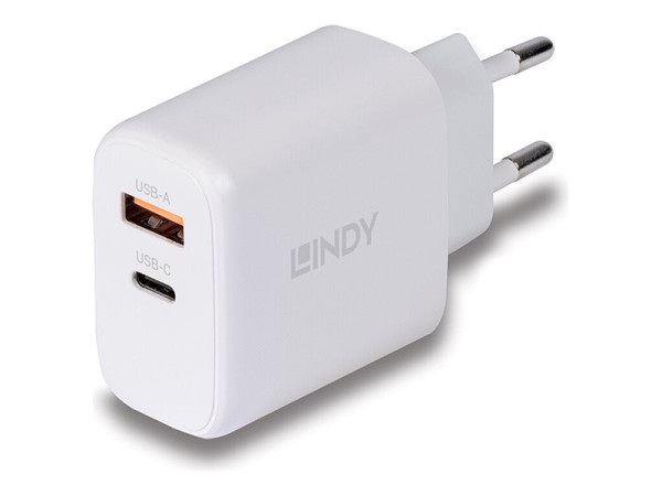 Lindy Ladegerät 65 Watt USB-A & C GaN Charger (weiß, 1x