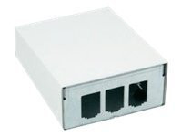 Netzwerkinstallation BTR Modul AP-GehÃ¤use reinweiÃŸ 3 Port