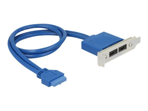 DeLOCK Slotblech 19P USB3.1 Bu>2xUSB Bu | 30cm blau