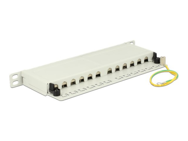 DeLOCK 10"Patchpanel 12P Cat.6A 0,5HE grau Patchpanel 12x