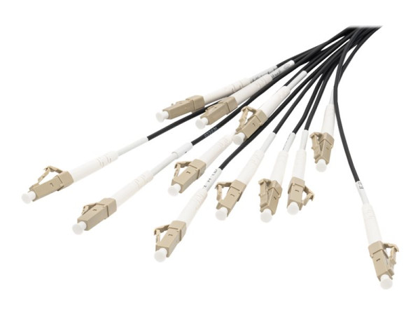 Digitus Digitus LWL Breakoutkabel MM OM4 12F LC/UPC-LC/UPC