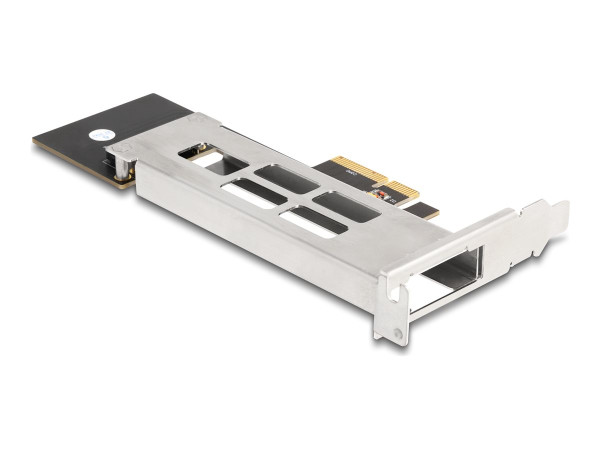 DeLOCK Wechselrahmen PCI Express Karte für 1 x M.2 NMVe SSD