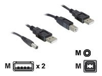 IT Produkte DeLOCK Kabelset 2-fach USB-A > DC + USB-B 30cm