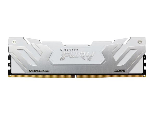Kingston DIMM 24 GB DDR5-8000 (silber/weiß, KF580C38RW-24,