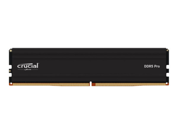 Crucial DIMM 24 GB DDR5-5600 (schwarz, CP24G56C46U5, PRO)