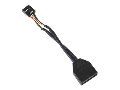 Silverstone Technology G11303050-RT Adapter 1x