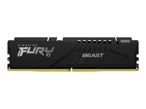 Kingston D5 16GB 4800-38 Beast KFY