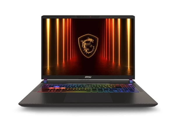 MSI Vector 16 HX AI A2XWIG-293 (grau, Intel® Core? Ultra 9