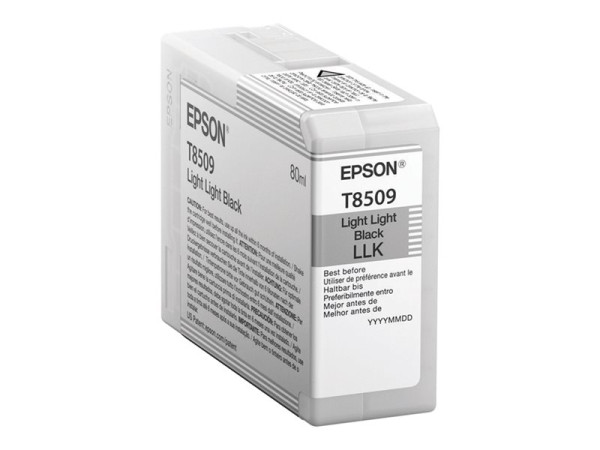 Epson Tinte LLBK C13T850900 Tinte 80