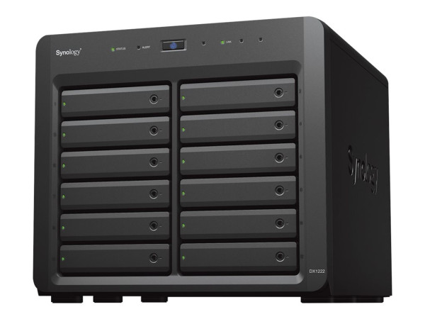 Synology DX1222 12Bay EXP