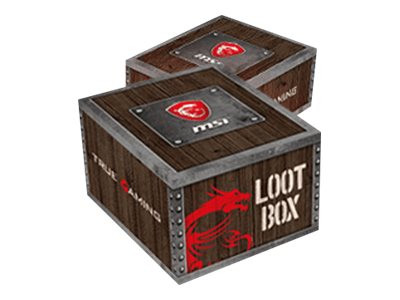 MSI Loot Box Level 1