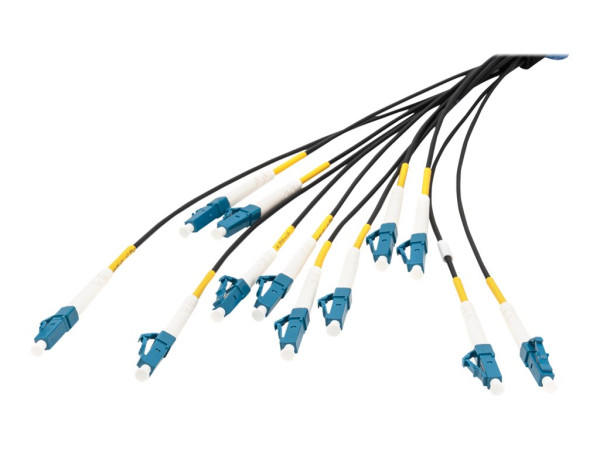 Digitus Digitus LWL Breakoutkabel SM OS2 12F LC/UPC-LC/UPC