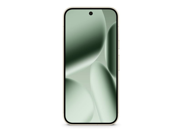 Google Pixel 10 Pro 256GB (Jade, Android, 16 GB)