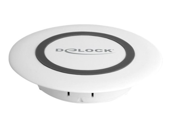 DeLOCK kabell. Schnelllade-Stat. 7,5+10W |