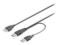 Goobay (ohne Kennzeichnung) USB Verl AA 030 HiSpeed Y-Power