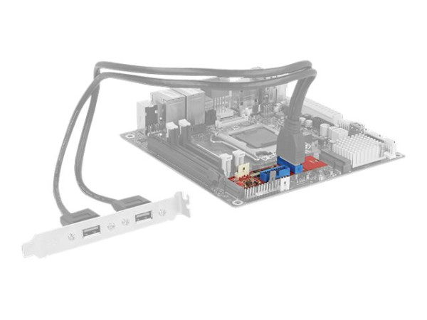 DeLOCK M.2 Key B+M > 2x USB3.0 Pfostenst | Konverter